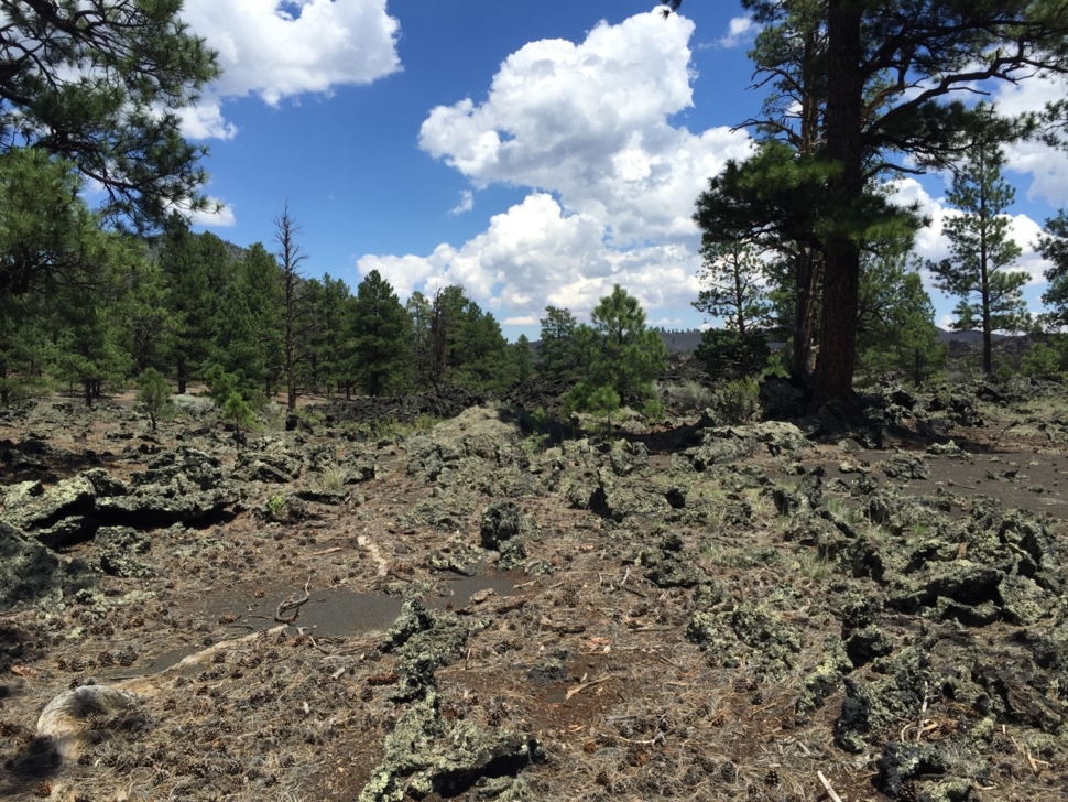 wupatki-sunset-crater-13