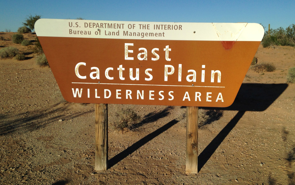 sign-cactus-plain